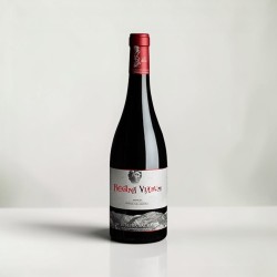 Regina Viarum Mencia